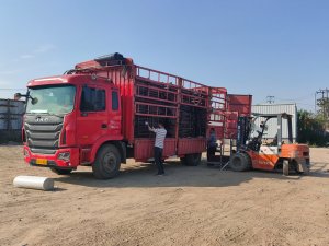 金用護欄2021年4月19日鋅鋼護窗欄桿發貨！