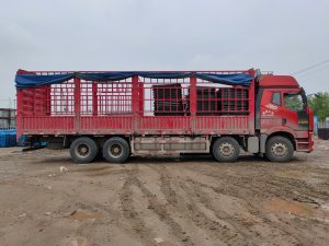 金用護欄2021年4月27日鋅鋼護窗欄桿發貨！